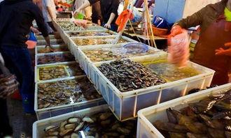 海鲜市场 爆料怎么做视频
