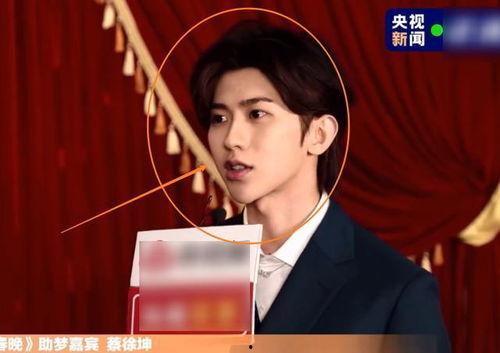 蔡徐坤采访爆料视频全集,揭秘全能偶像的成长之路与心路历程